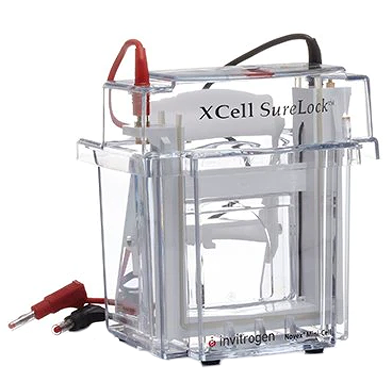 Thermo Fisher Scientific XCell SureLock Mini-Cell
