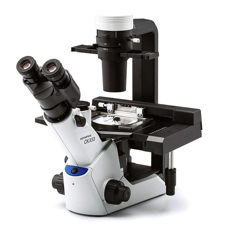 Olympus CKX53