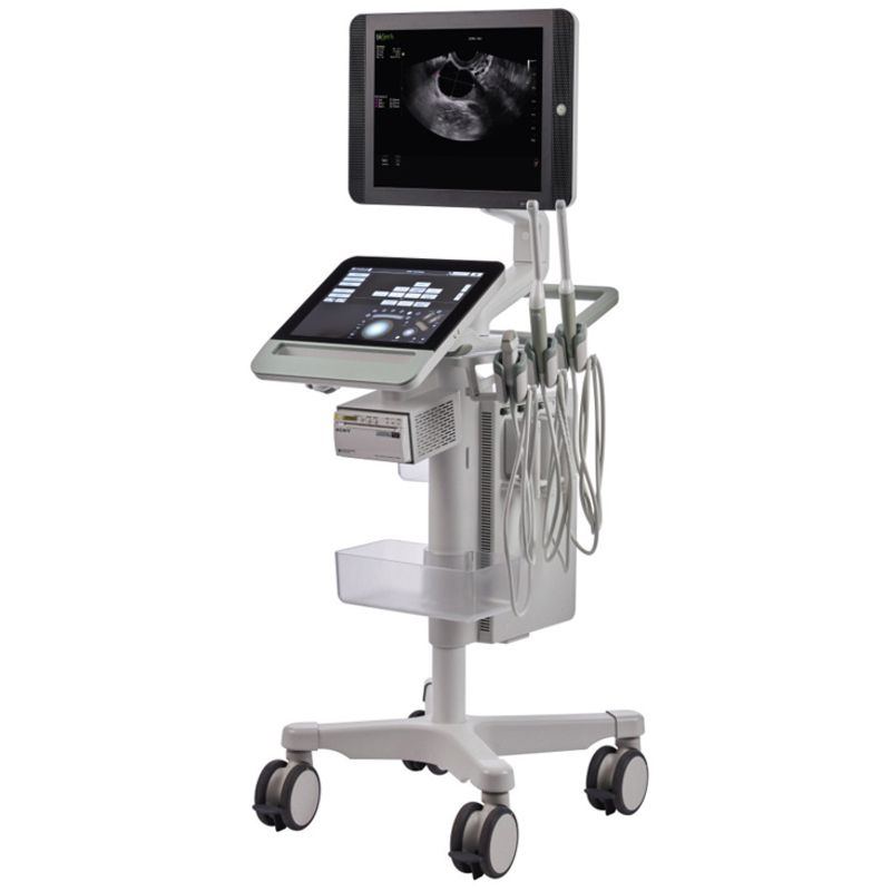 BK Ultrasound BK Specto