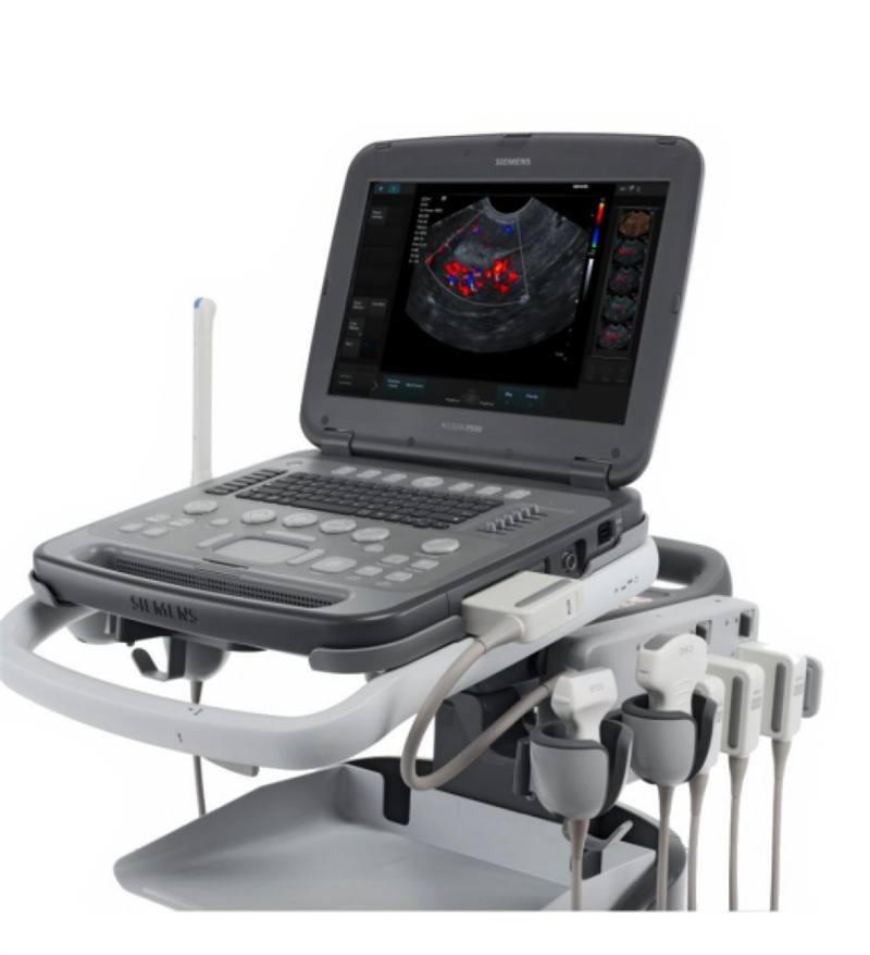Siemens Acuson P500