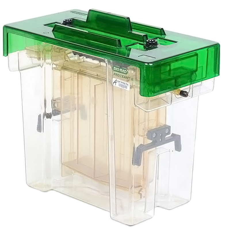 Bio-Rad Protean ll XL