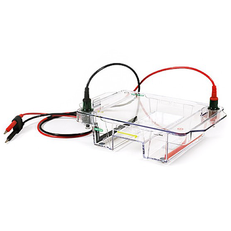 Bio-Rad Wide Mini-Sub Cell GT