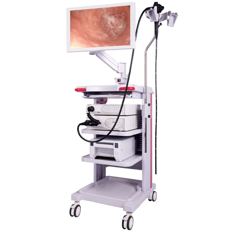 Huger GVE-2600