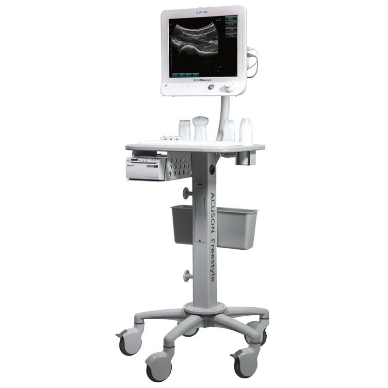 Siemens Acuson Freestyle