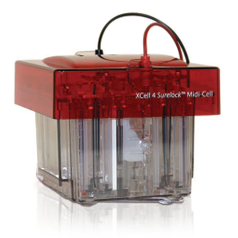 Thermo Fisher Scientific XCell SureLock Midi-Cell