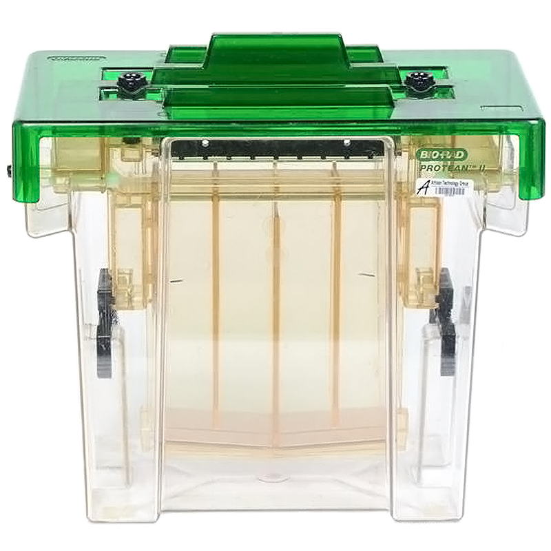 Bio-Rad Protean ll XL