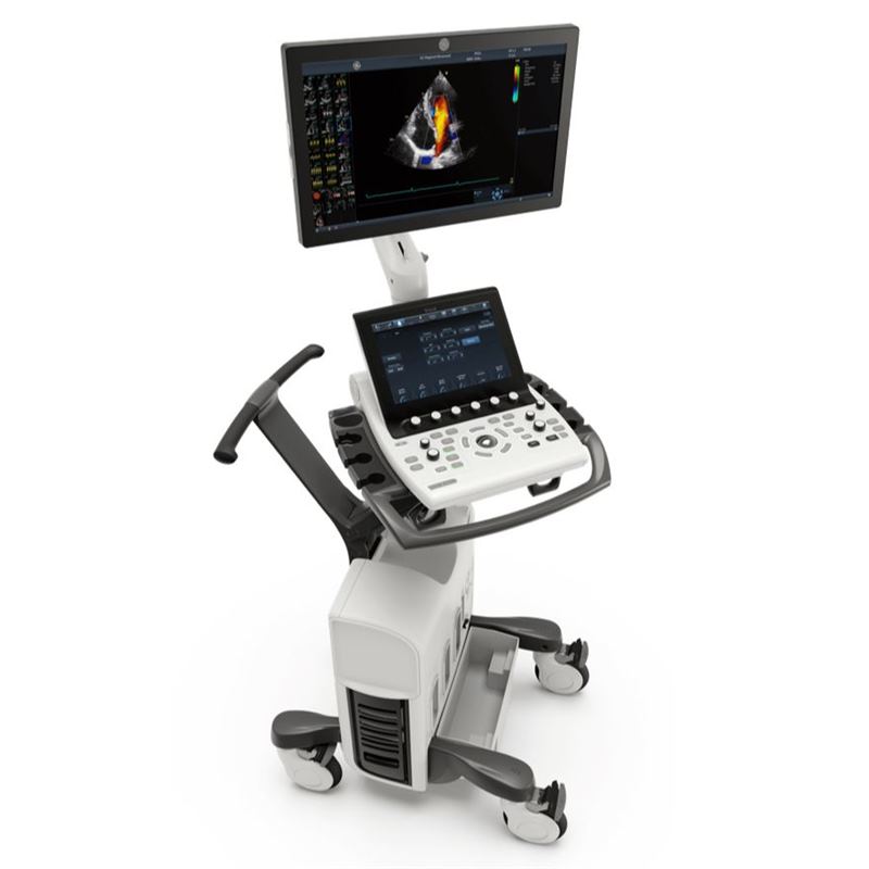 GE Healthcare Vivid S60