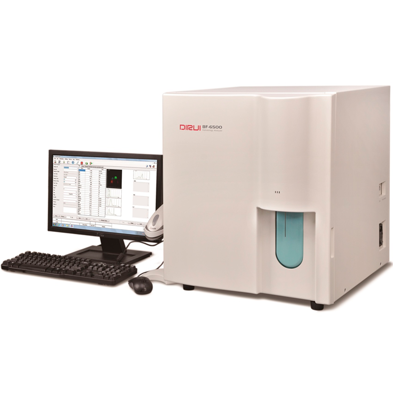 Dirui BF-6500