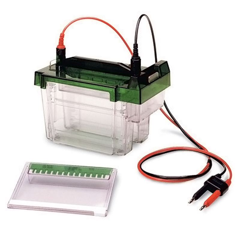 Bio-Rad Criterion Cell