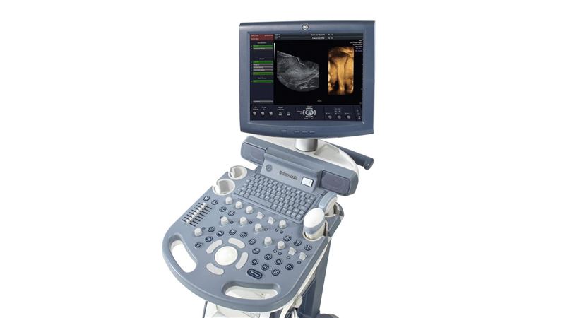 GE Healthcare Voluson P6