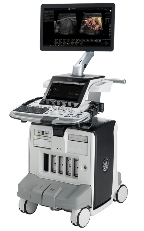 GE Healthcare Logiq E10