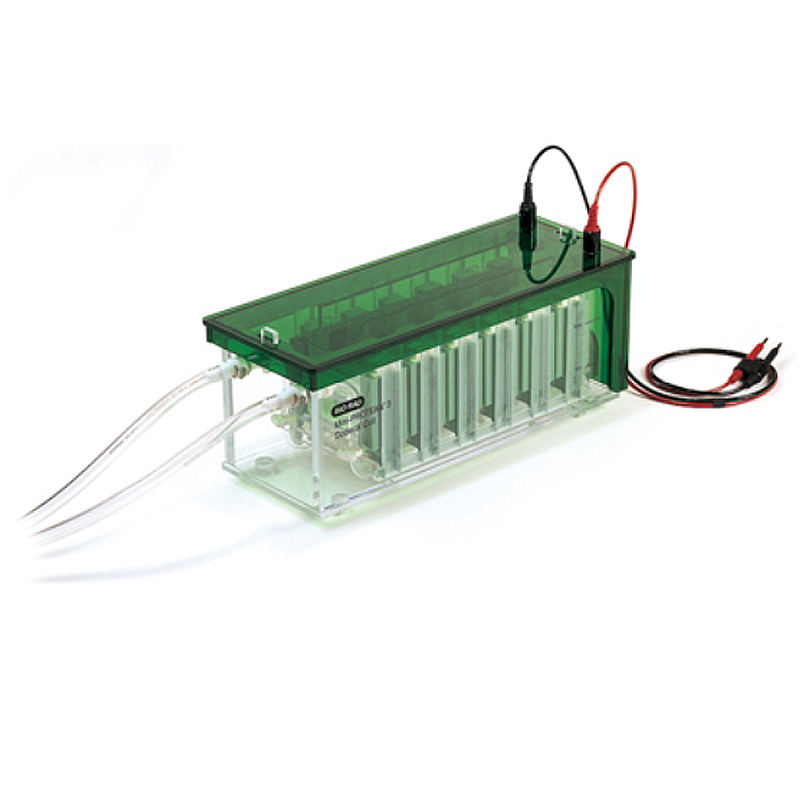 Bio-Rad Mini-Protean 3 Dodeca