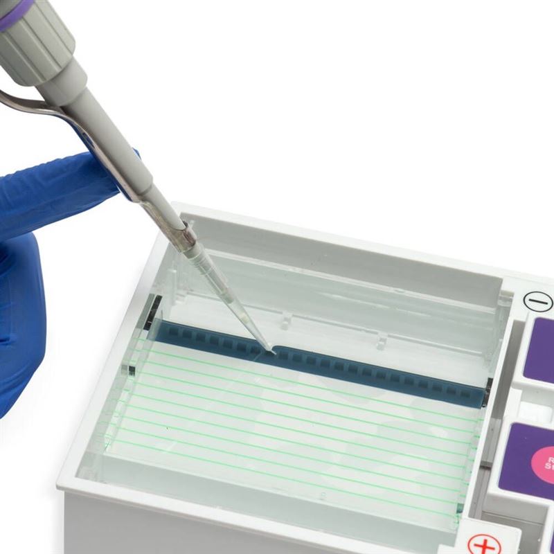 Cleaver Scientific MultiSUB Mini one
