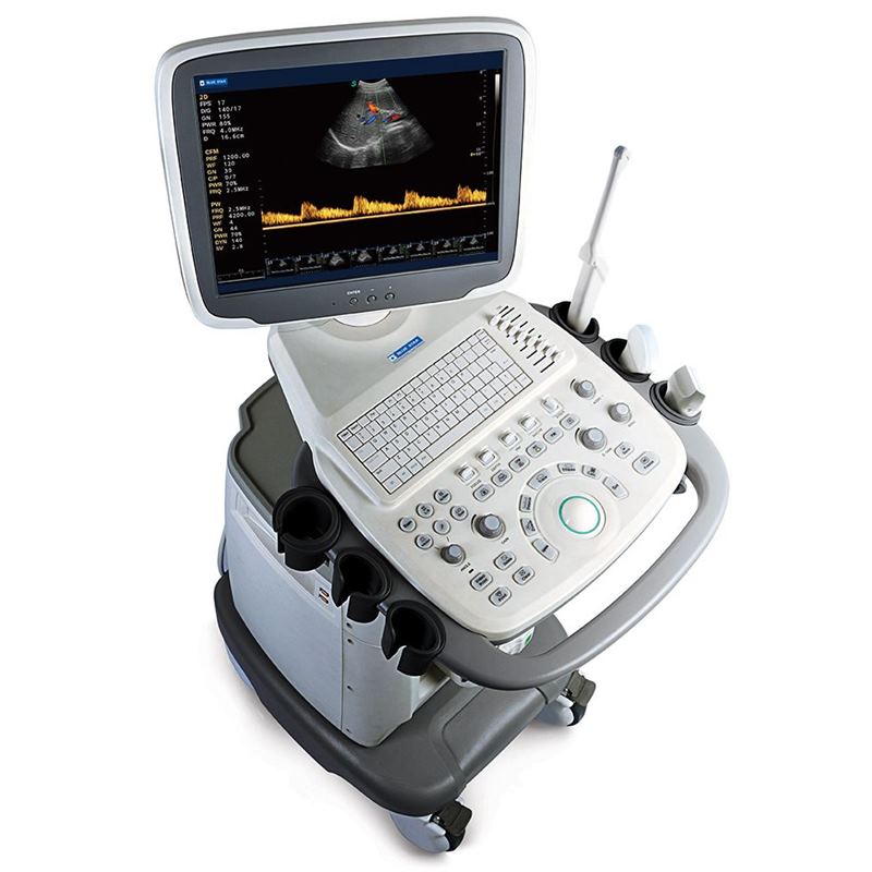 Sonoscape S11 Vet