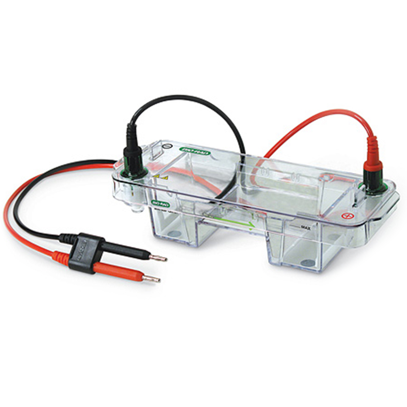 Bio-Rad Mini-Sub Cell GT