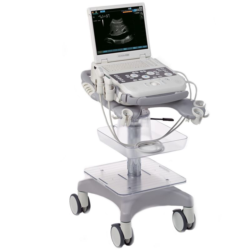 Siemens Acuson P300