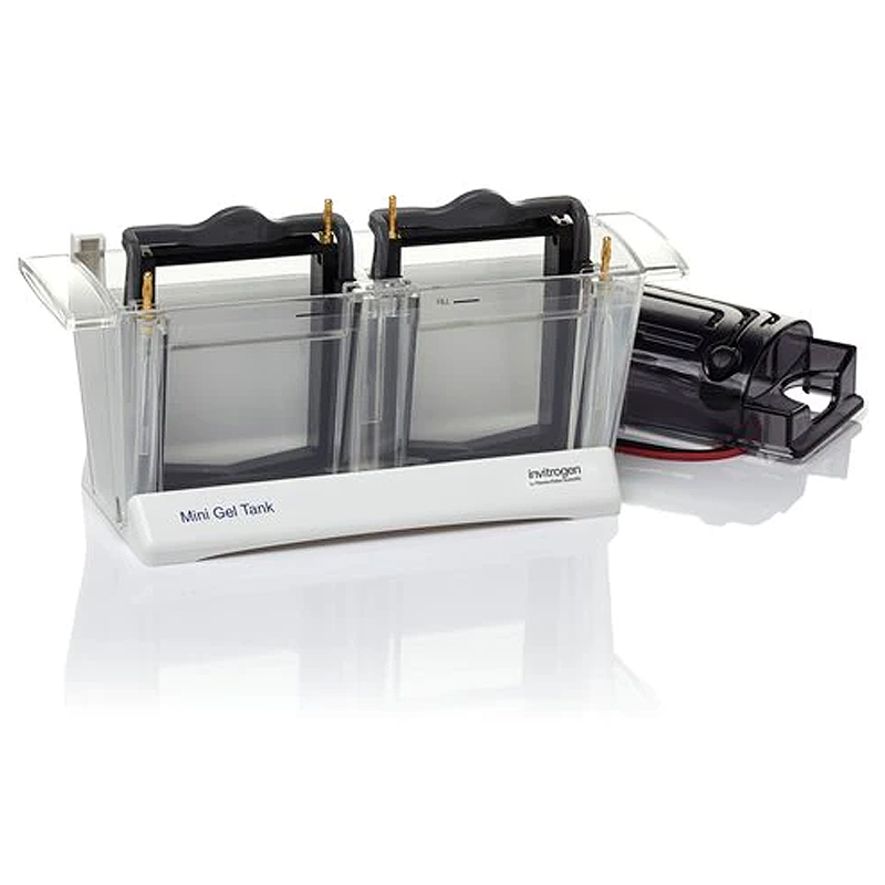 Thermo Fisher Scientific Mini Gel Tank