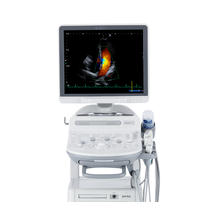 Canon Xario 100G