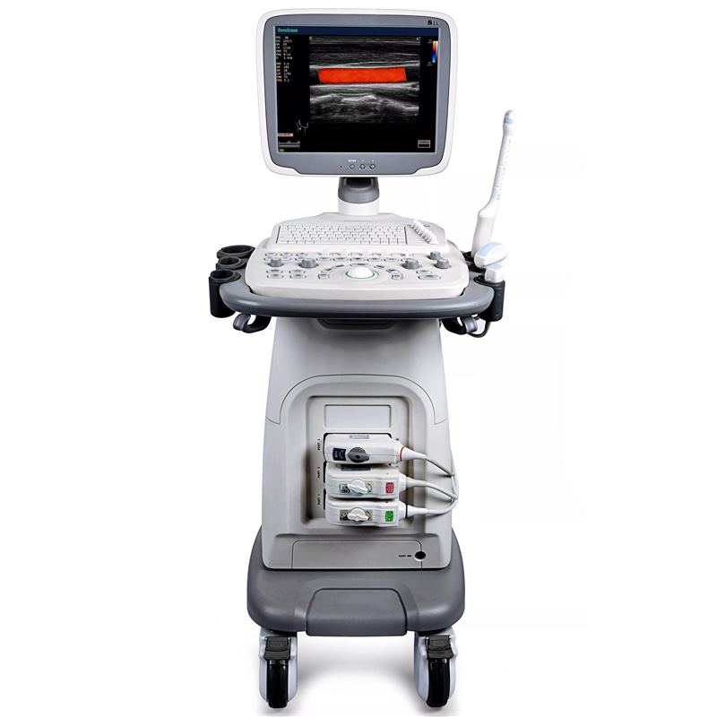 Sonoscape S11 Vet