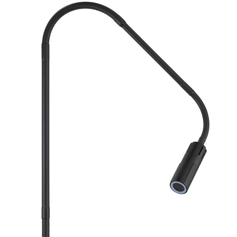 Welch Allyn GS Exam Light IV