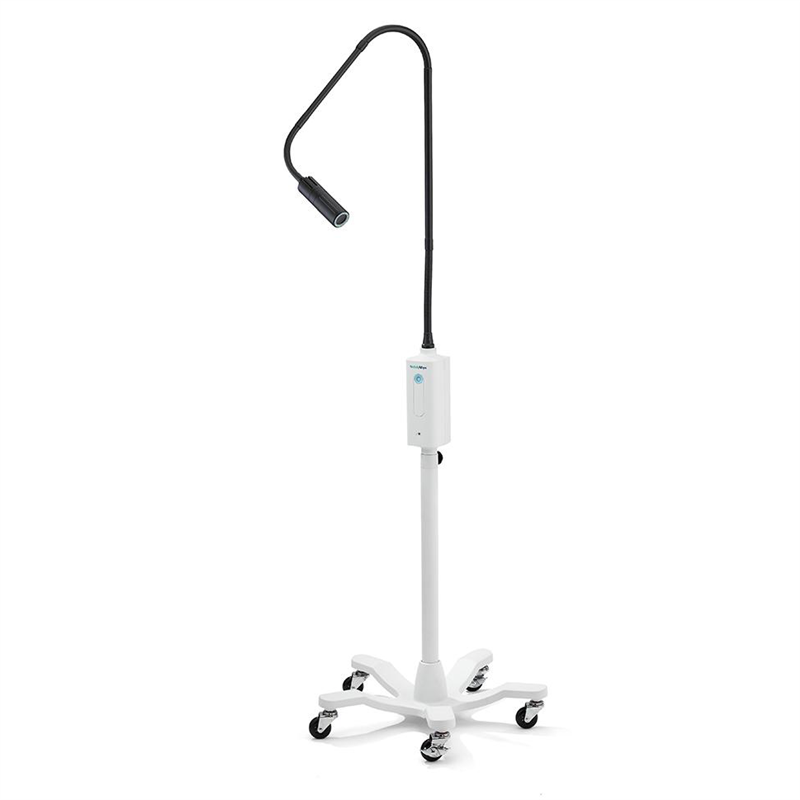 Welch Allyn GS Exam Light IV