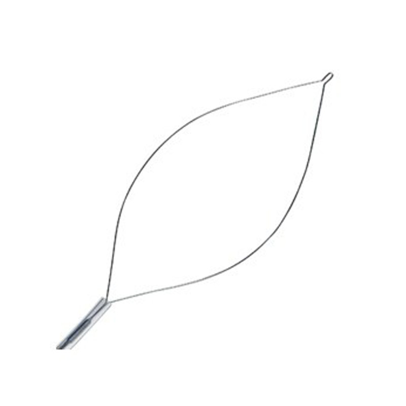 Wilson Instruments Инструменты для горячей биопсии