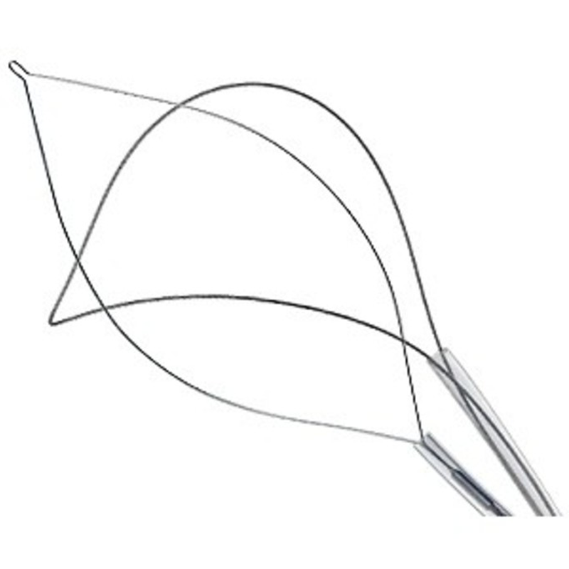Wilson Instruments Петли для полипэктомии