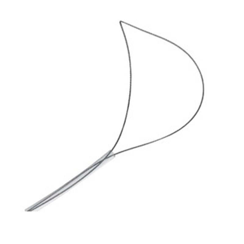 Wilson Instruments Петли для полипэктомии