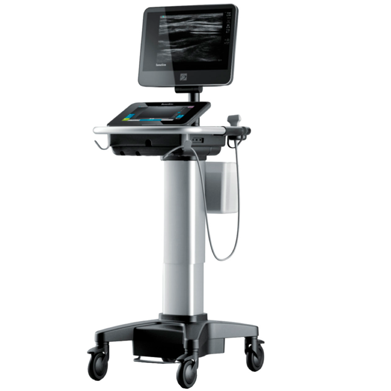 Fujifilm Sonosite X-Porte